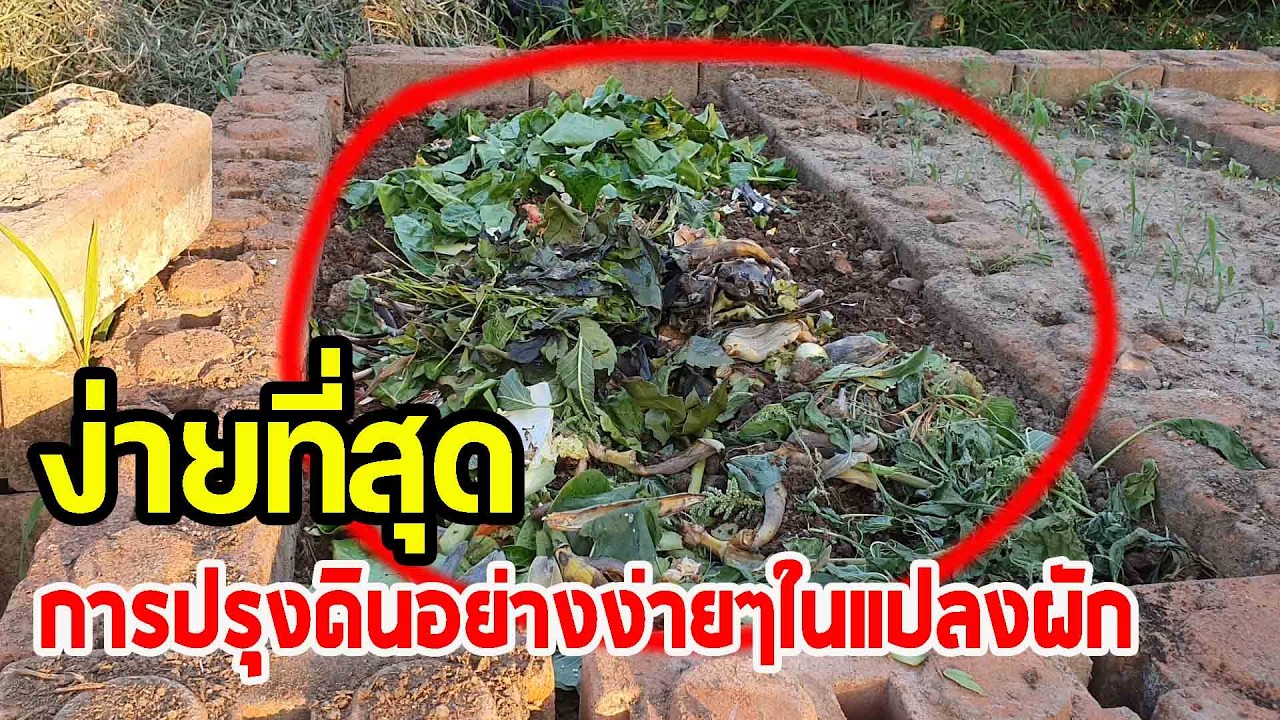 การปรุงดินหมักดินในแปลงอย่างง่ายๆ ใครๆก็ทำได้ วิธีนี้คือง่ายที่สุด ต่ายHunberryz.