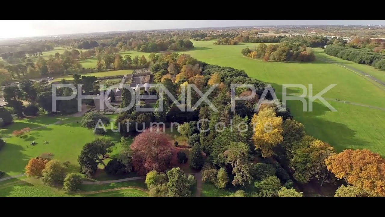 Dublin Phoenix Park 2015 YouTube