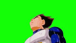 Dragon Ball Z - Vegeta Standing In The Rain - Green Screen