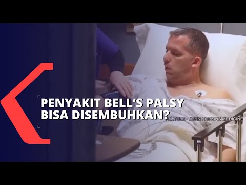 Video: Kelemahan / Kelumpuhan Otot Wajah Kerana Kerosakan Saraf Pada Arnab