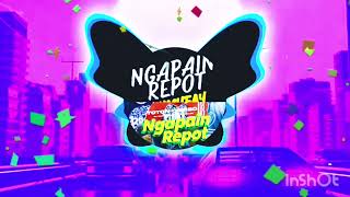 DJ NGAPAIN REPOT REMIXED AI STEMS