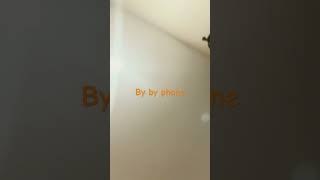 Meiso accident