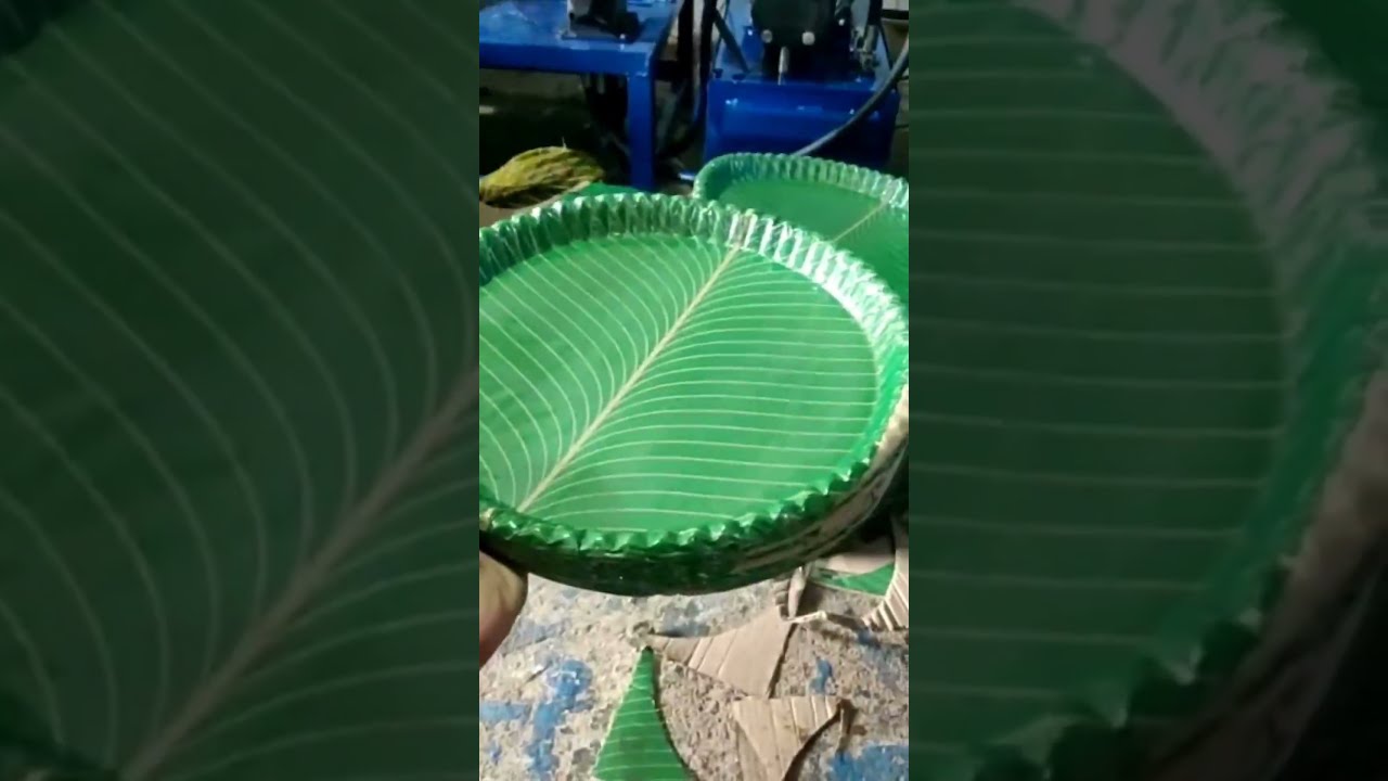 Top Disposable Hydraulic Paper Plate Machines Manufacturers Process Installation Telugu A P 