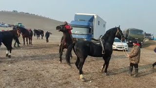 картинка: ЧУБАК АЖЫ ЖАЛИЛОВДУН УЛАГЫНЫН БАШТАЛЫШЫ БАЙГЕЛЕРИ 22 января 2022 г.