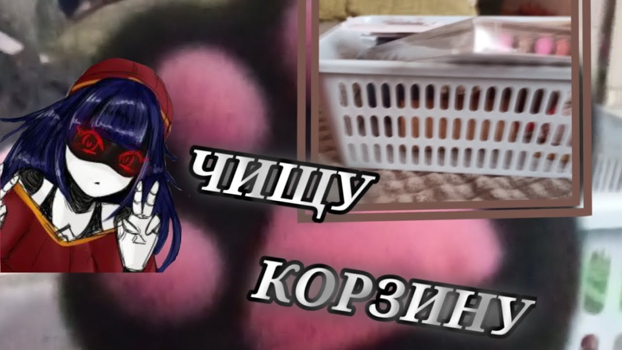 разбираю свою корзину.