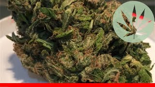 Cherry Pie - All About This Strain