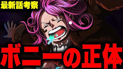 ワンピースジャンプ本誌