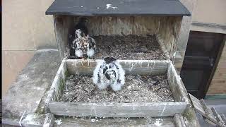 Main Camera - 06/09/26