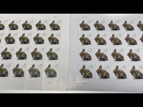 How to spot fake postage stamps - YouTube