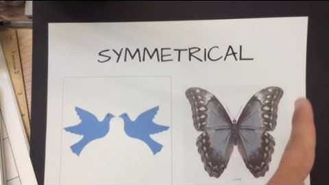 Principle of Balance in ART -elementary