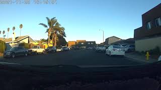 almost ran over a cat