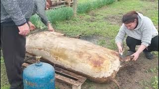 Tăierea tradiţională a porcului în comuna Crivăţ, județul Călărași!