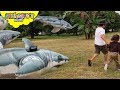 FLYING SHARKS vs Toddler | Skyheart battles an army of sharks for kids toys pool