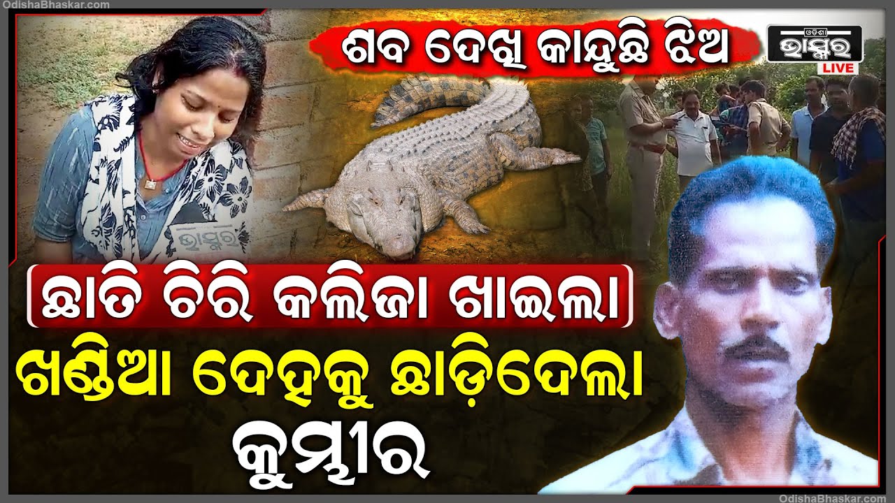 ଜୁନ୍ ଆସିଲା ପୁଣି କୁମ୍ଭୀର ମାତିଲା, ରାତିରେ ଶୌଚ ହେବାକୁ ଯାଇଥିଲେ ଆଉ ସକାଳୁ ମିଳିଲା....
