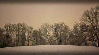 Video thumbnail of "Chris Eckman - Early Snow (official visual)"