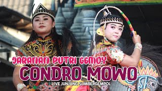 Jaranan CONDRO MOWO Terbaru,, Senterewe Putri Gemoy Live Junjung Sumbergempol Support By 95 Audio