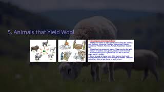Class 7 SCIENCE | Fibre to Fabric | Complete Tutorial | ELCAAS