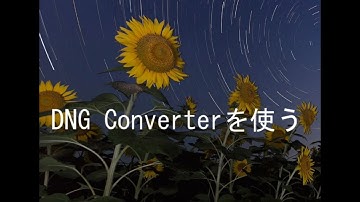 DNGコンバーターを使う
