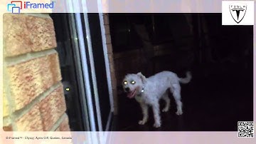 Test I -- Video upload via iFramed