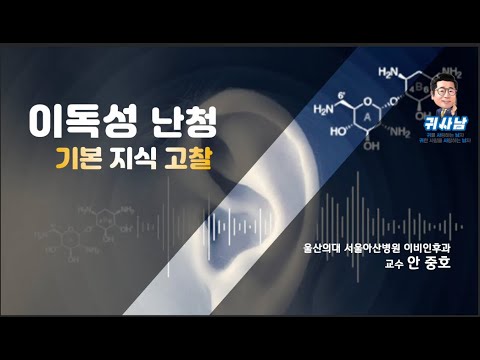 일시적또는 영구 청력상실 .이독성 난청/이독성의 증상,진단 예방과 치료 (서울 아산병원 안 중호교수 특별강의 )