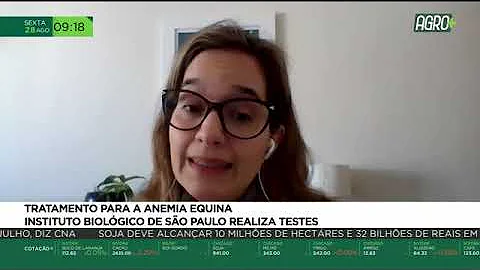 Qual o remédio para anemia de cavalo?