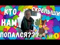 Скрепыши скрепыши! Кто же нам попался👀 влог выпуск #1