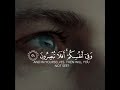 سورة الذاريات اسلام صبحي