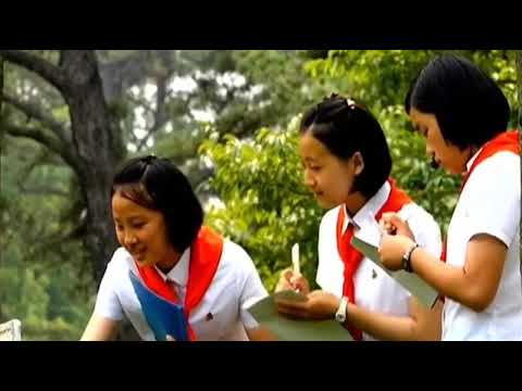North Korea TV 21 August 2024