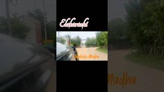 Velankanni to Elakurichi Adaikala Madha Church | A Divine Road Trip of Faith!