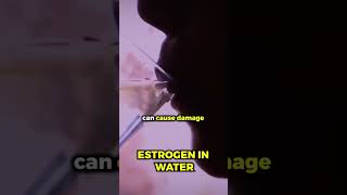 Famous Estrogen in water #biohacking #health Net Worth