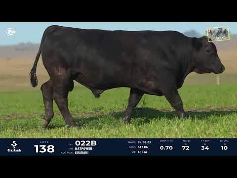 LOTE 138   TAT 022B M Ultrablack