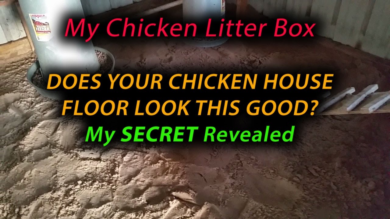 How To Keep Your Chicken House Floor Like New Forever And Automatic Door Opener
