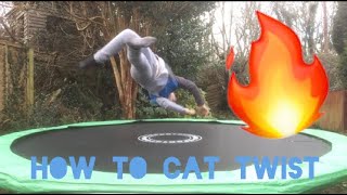 How to cat twist