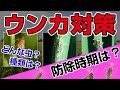 【知っていますか？ウンカの種類、生態、正しい防除方法】ウンカについて、そして防除についてご説明します。ウンカから大切なイネを守りましょう。