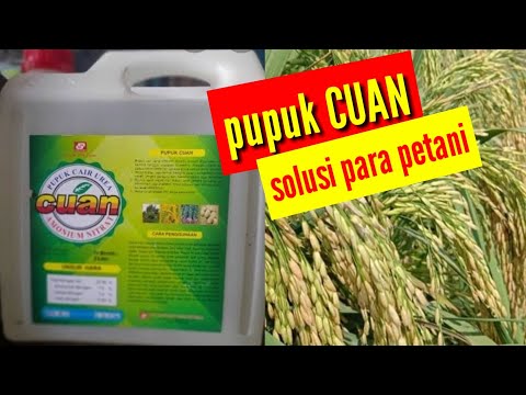 Video: Fitur Penggunaan Pupuk Nitrogen Cair