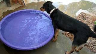 MVI_2415.AVI