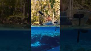 Summer Fun With Get Up And Go Kayaking - Gilchrist Blue Kayaking The Santa Fe River In Florida