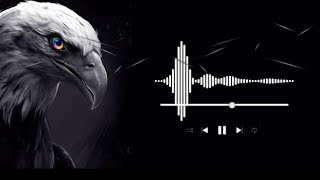 Birds machine sound check #sound #short