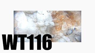 Walking And Talking #116