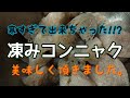 （2021,1,12）凍コンニャクの唐揚げ