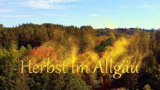 Allgäuer Herbstwald! Bayern/Markt Wald. Autumn in the German Forest/ Nature Relaxation.