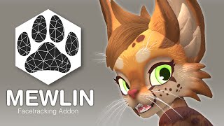 Mewlin -  Facetracking Showcase Quest Pro - VRChat