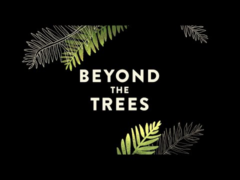 Beyond the Trees - Documentary