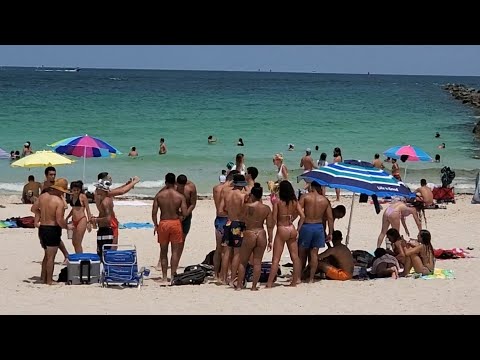 Video: Guida Al Bilancio Di South Beach, Miami - Rete Matador