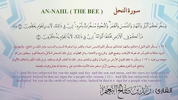 16  سورة النحل مكرر