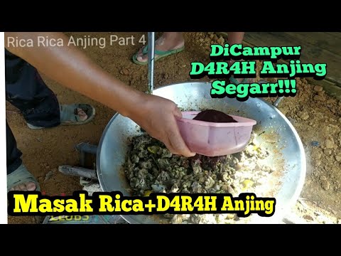 KULINER NON HALAL - Masak Daging Anjing RICA RICA PART 4