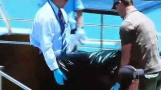 Customs seizes 300kg of cocaine