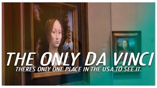The only Leonardo Da Vinci in the USA - Washington DC's National Gallery.