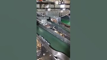 shade pole motor core progressive die