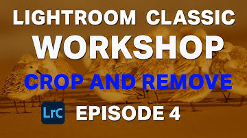 Lightroom Classic 2025 Workshop for Beginners - Develop Module - Crop and Remove